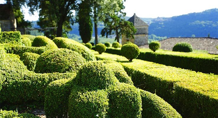 haies du jardin de marqueyssac